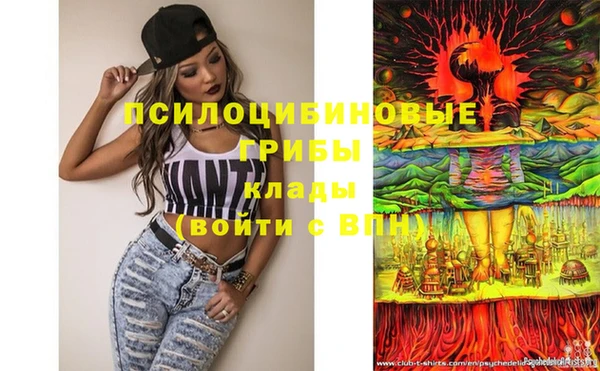 крисы Елабуга