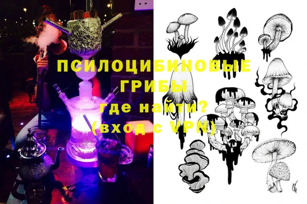 крисы Елабуга