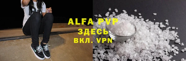 крисы Елабуга