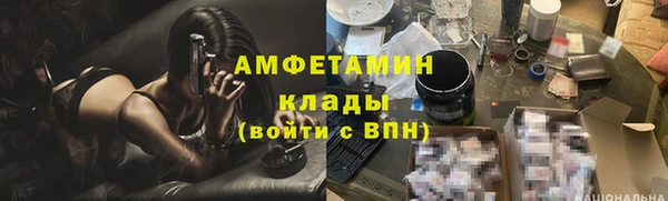 крисы Елабуга