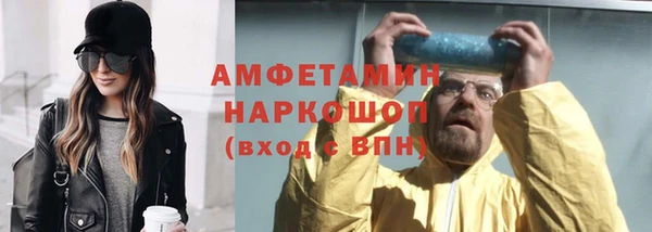 крисы Елабуга