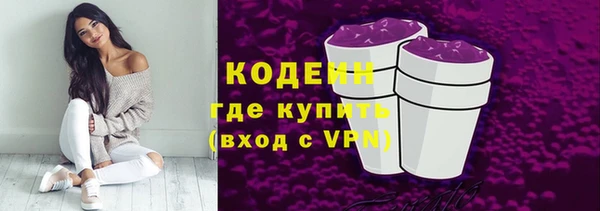 крисы Елабуга