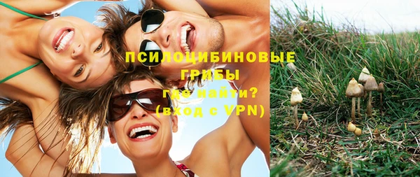 а пвп мука Елизово