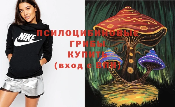 а пвп мука Елизово