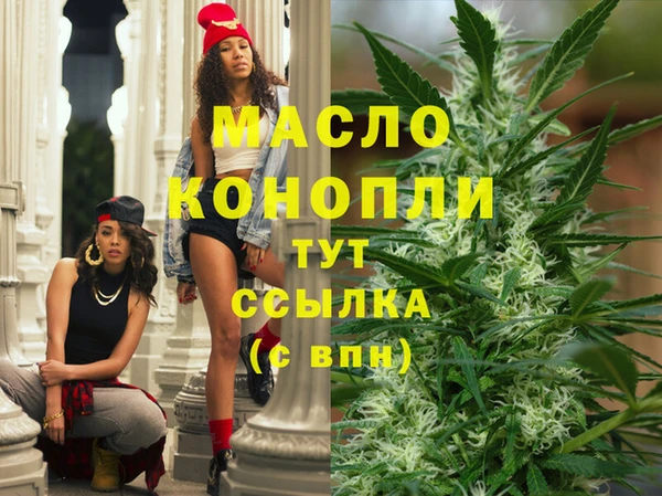крисы Елабуга