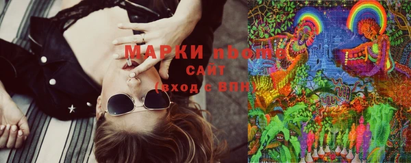 крисы Елабуга