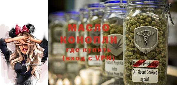 крисы Елабуга
