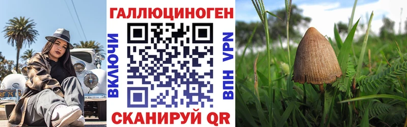Галлюциногенные грибы GOLDEN TEACHER  сколько стоит  Салехард 